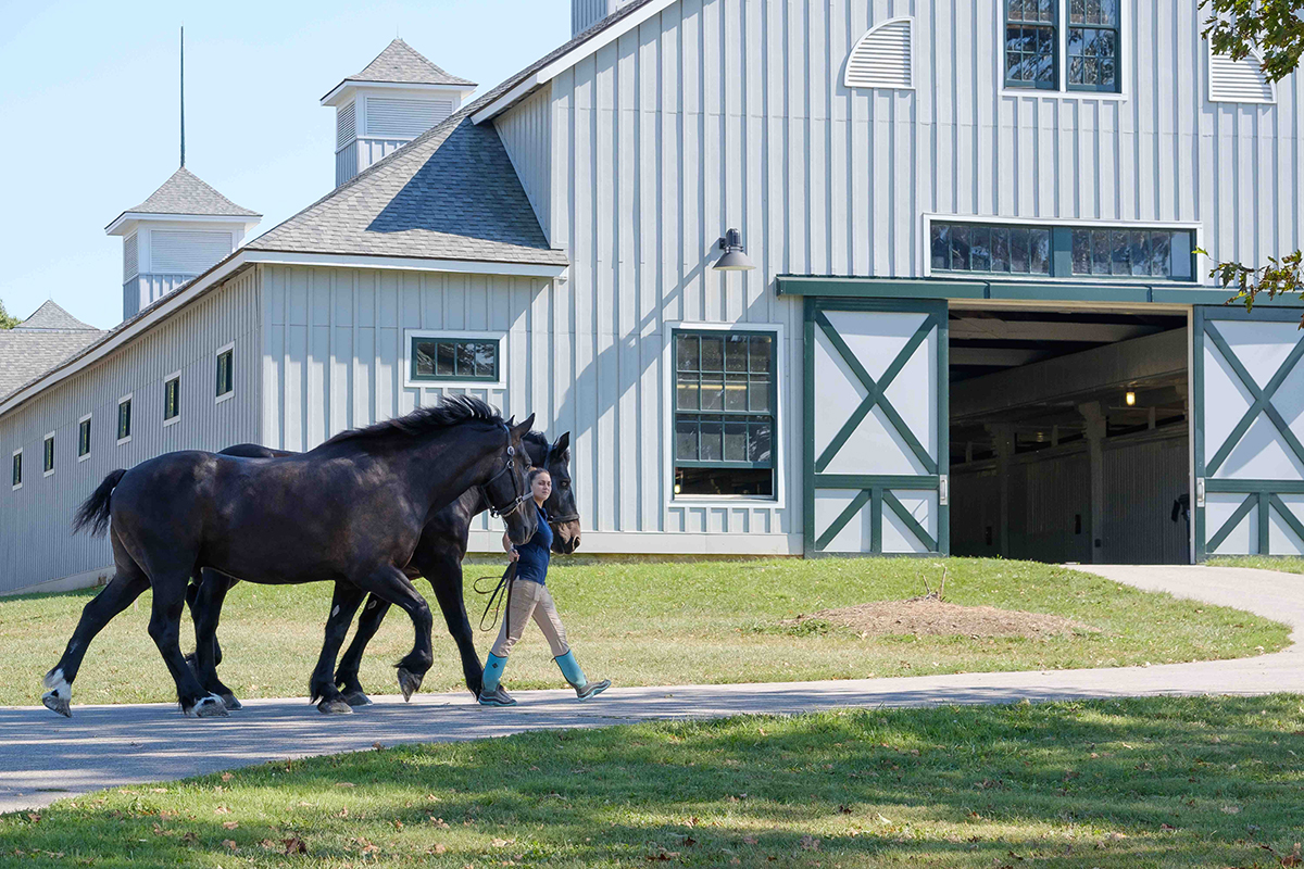 1 KyHorsePark SteveHockensmith