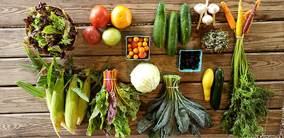 Elmwood organic vegetable share