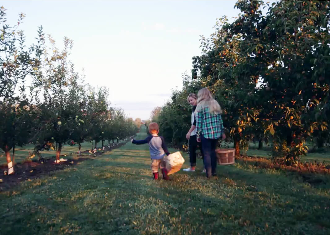 Evans Orchard 5 things this summer