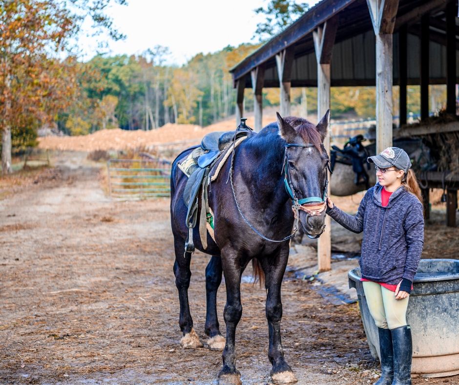 Horse Riding Stable