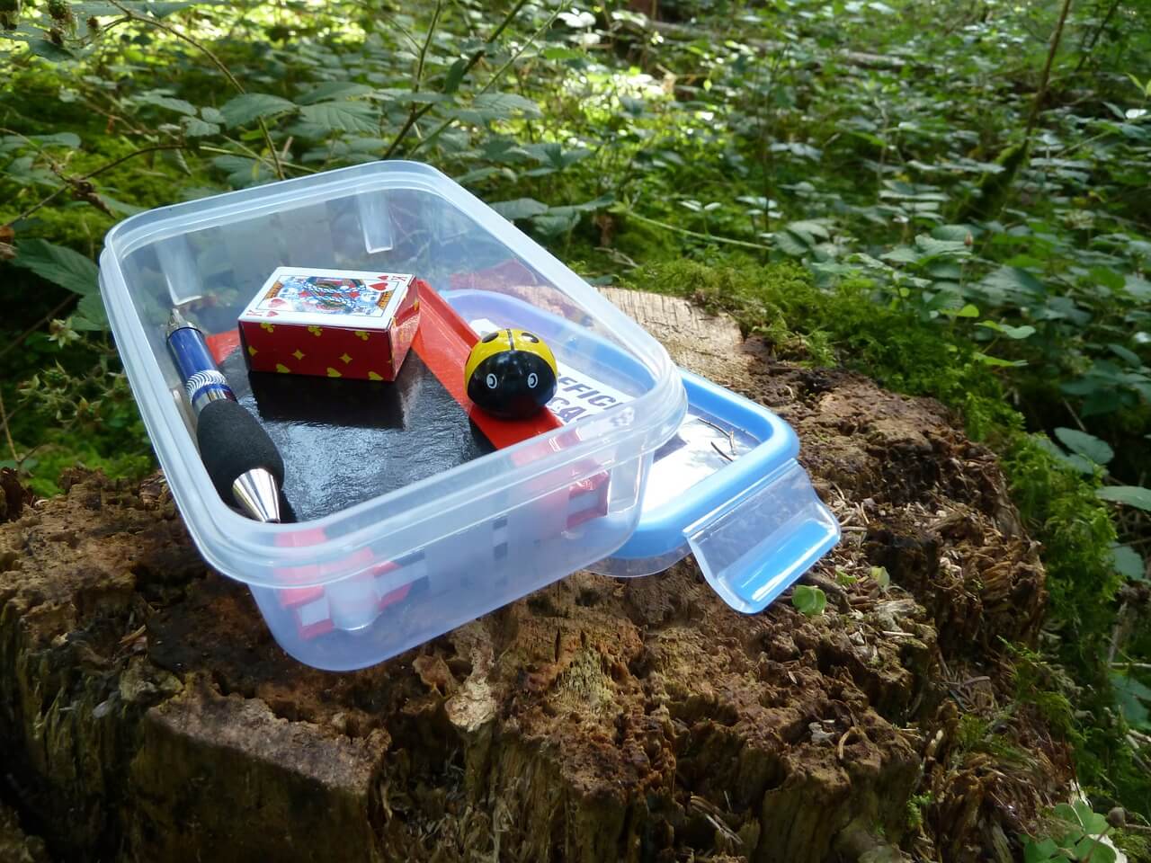 geocaching 5 things this summer