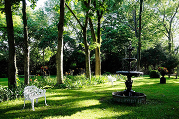 ward hall fairy gardens