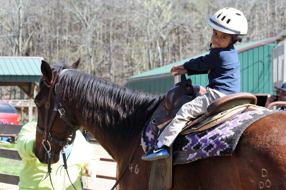 whispering woods horse activity