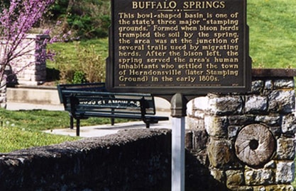 buffalospring