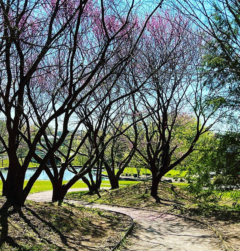 YukoEn-6