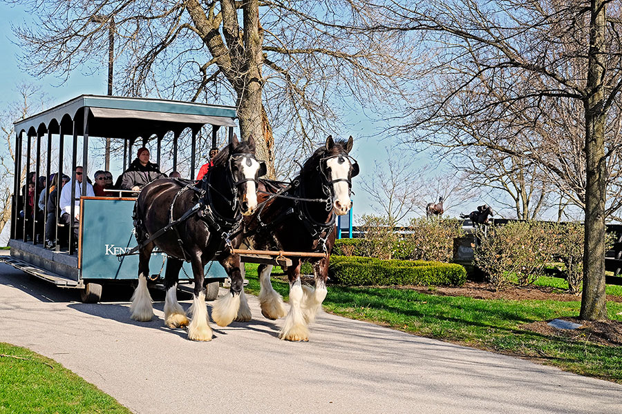 kentucky horse park carriage rides